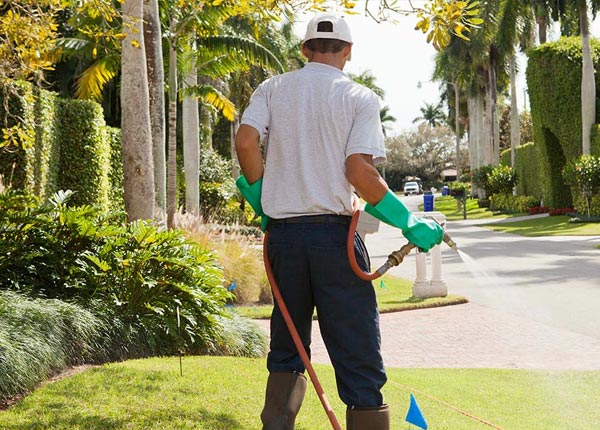About Empire LA Pest Control